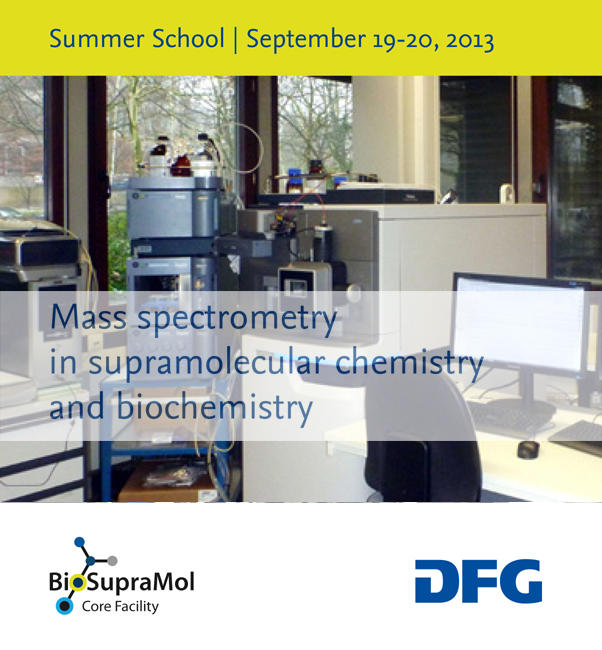 BioSupraMol-Summerschool-2013-Flyer-Titel_small
