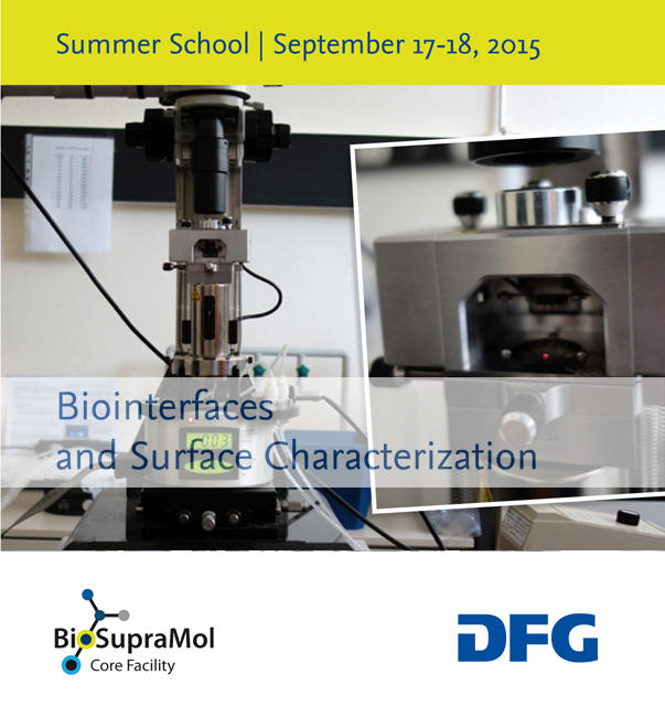 BioSupraMol-Summerschool-2015-Flyer-Titel_small