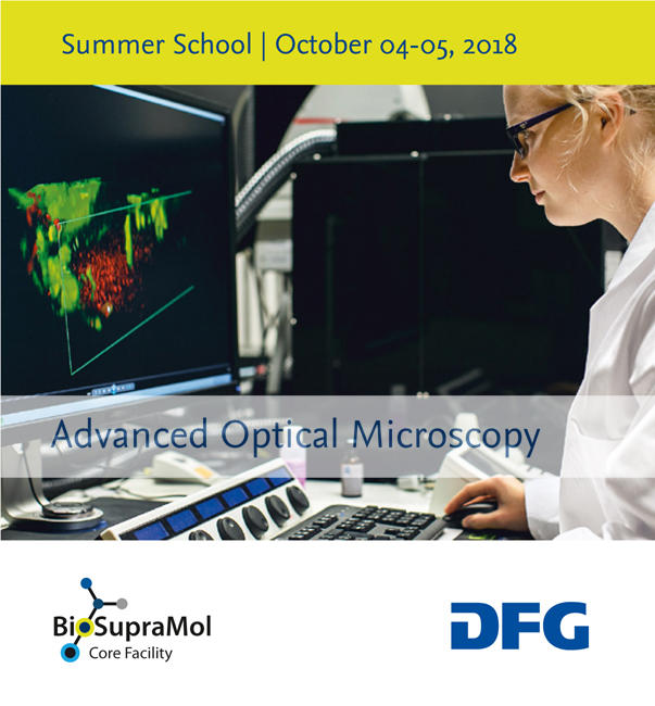 BioSupraMol-Summerschool-2018-Flyer-Titel_small