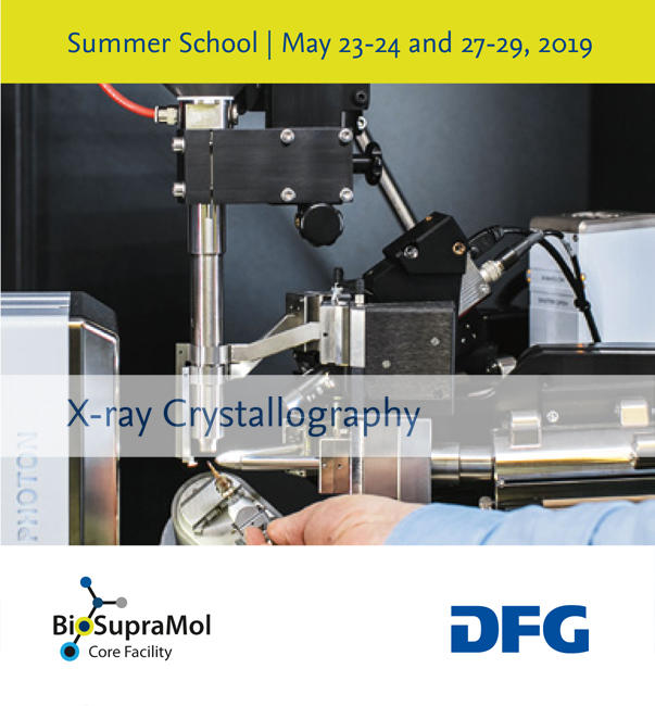 BioSupraMol-Summerschool-2019-Flyer-Titel_small
