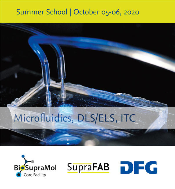 BioSupraMol-Summerschool-2020-Flyer-Titel_small