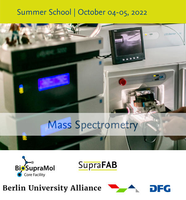 BUA-Summerschool-2022-Flyer-Titel_small